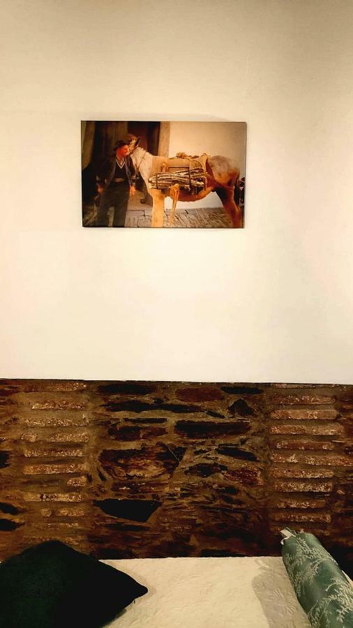 Vila Casa O Chaparrinho Monsaraz Exteriér fotografie